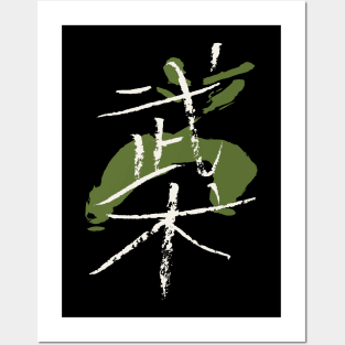 Wushu (Chinese Martial Arts) Posters and Art